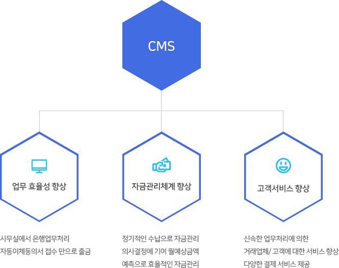 CMS 서비스 이용효과